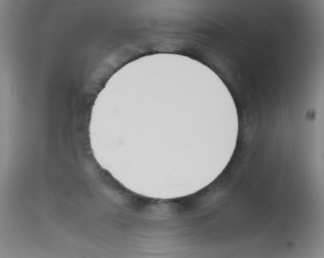 X0000113750307200910211152