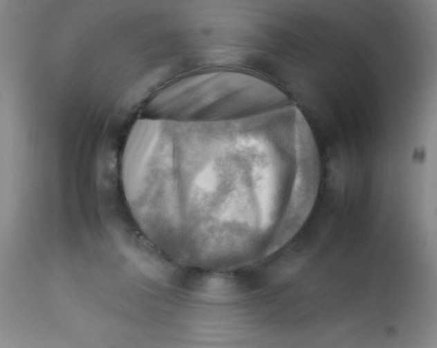 X0000113750308200910211152