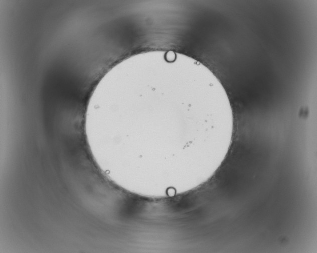 X0000113750309200910211152