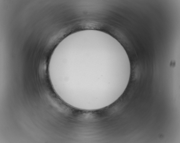 X0000113750310200910211152