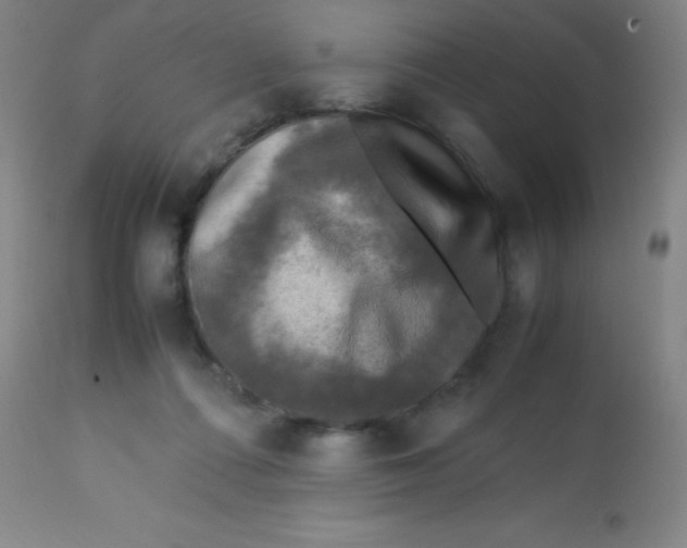 X0000113750312200910211152