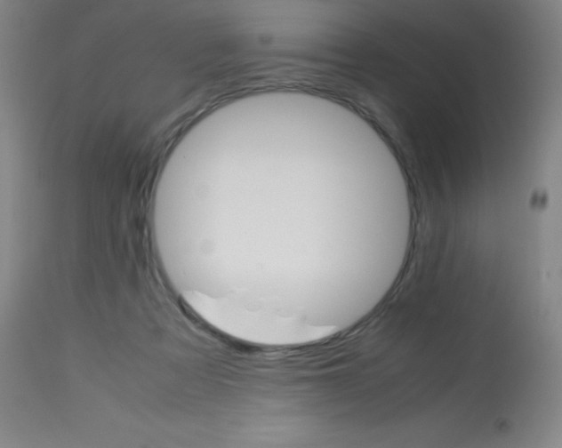 X0000113750313200910211152