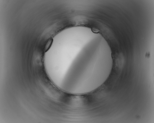 X0000113750316200910211152