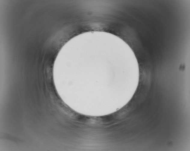 X0000113750317200910211152