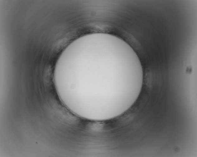 X0000113750318200910211152