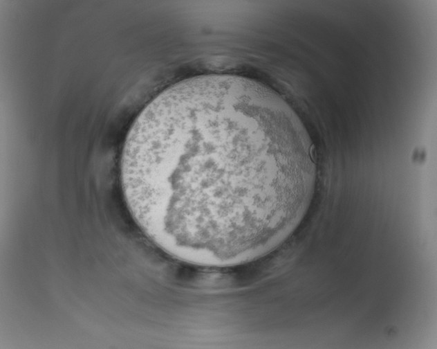 X0000113750319200910211152