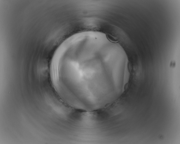 X0000113750320200910211152