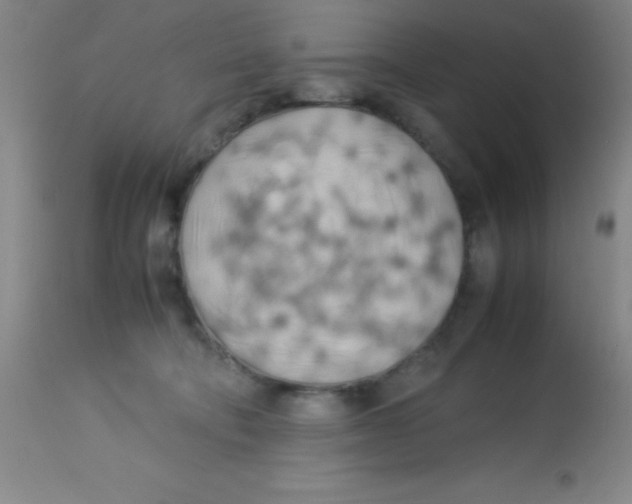 X0000113750322200910211152