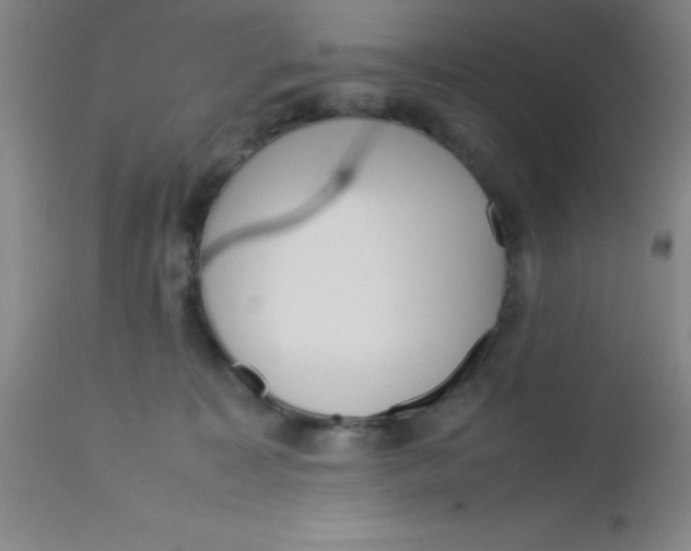 X0000113750323200910211152