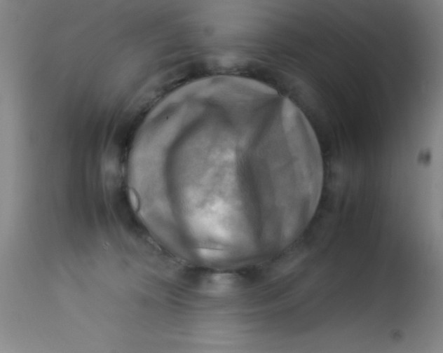 X0000113750324200910211152