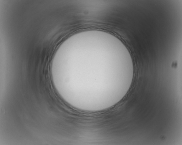 X0000113750325200910211152