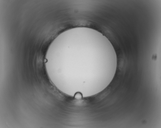 X0000113750326200910211152