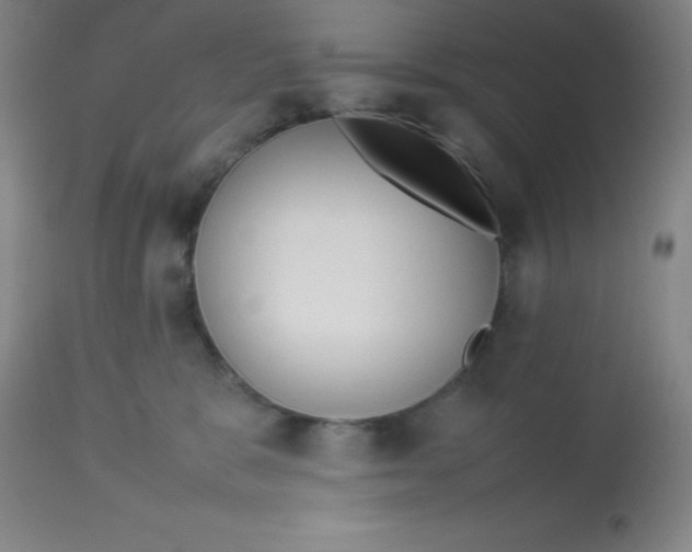 X0000113750327200910211152