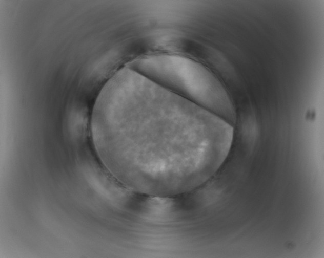 X0000113750328200910211152