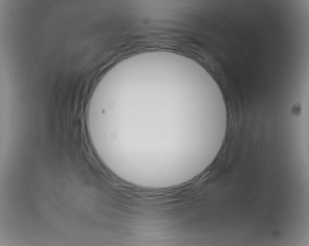 X0000113750329200910211152