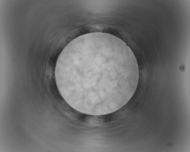 X0000113750331200910211152