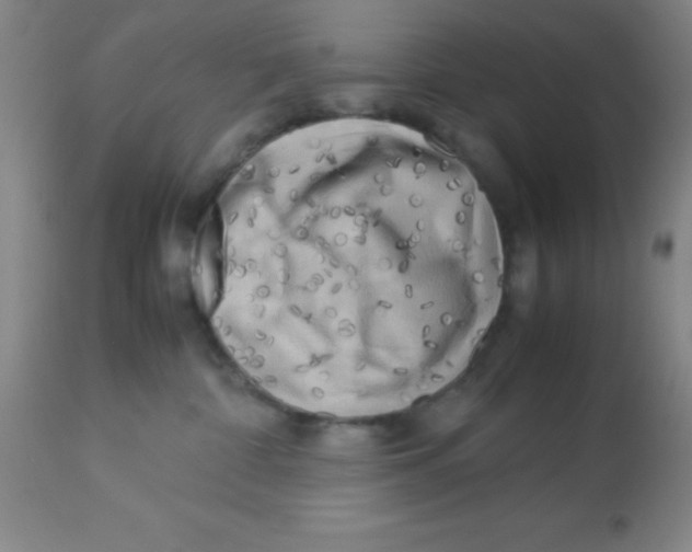 X0000113750332200910211152