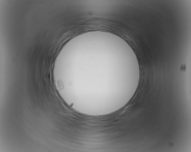 X0000113750333200910211152