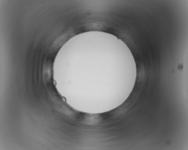 X0000113750334200910211152