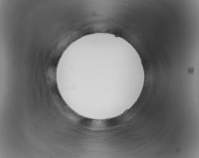 X0000113750335200910211152