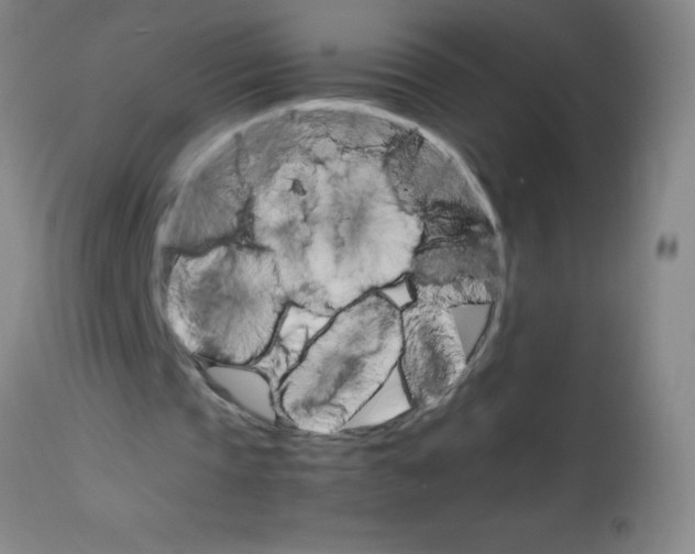 X0000113750337200910211151