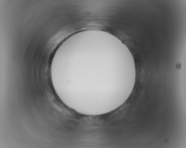 X0000113750338200910211151