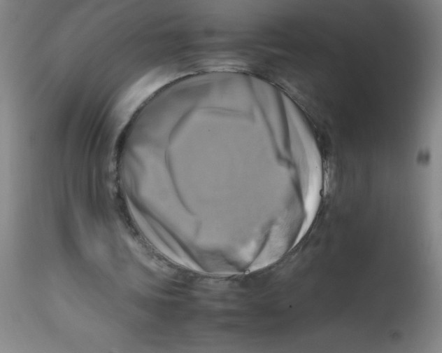 X0000113750339200910211151