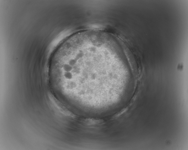 X0000113750343200910211151