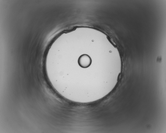 X0000113750344200910211151