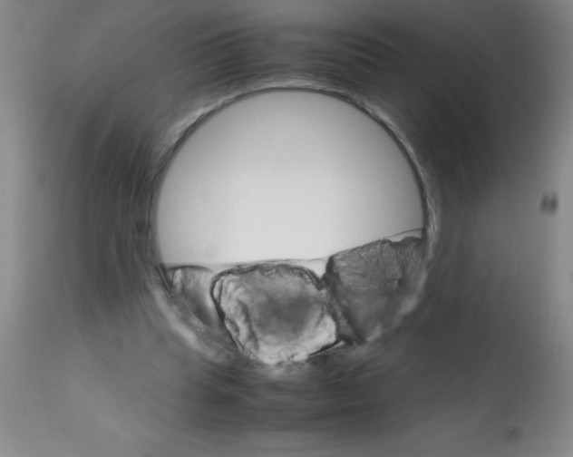 X0000113750345200910211151