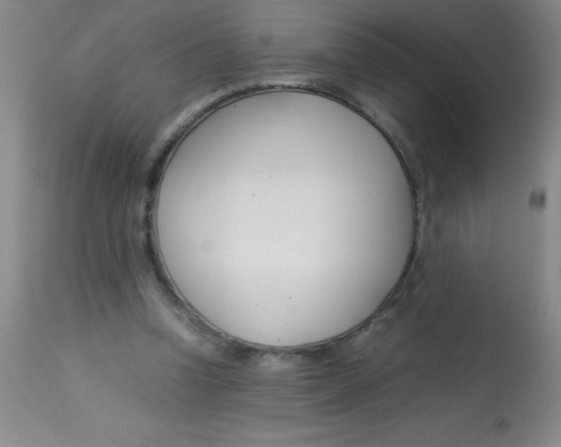 X0000113750346200910211151