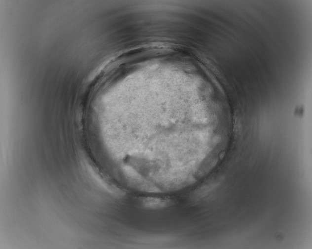 X0000113750347200910211151