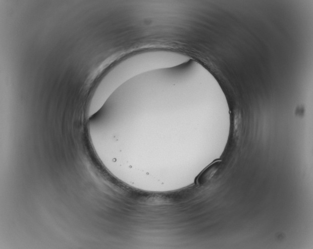 X0000113750348200910211151