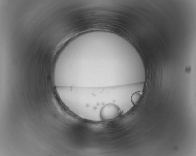 X0000113750349200910211151