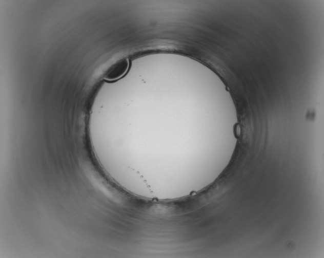 X0000113750350200910211151