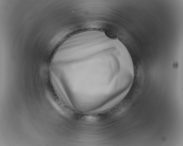 X0000113750352200910211151