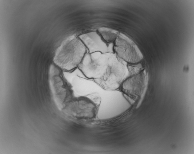 X0000113750353200910211151