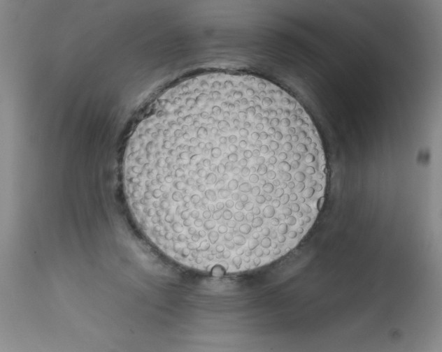 X0000113750354200910211151