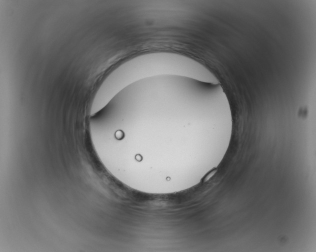 X0000113750356200910211151