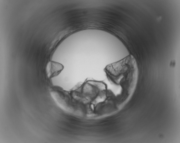 X0000113750357200910211151