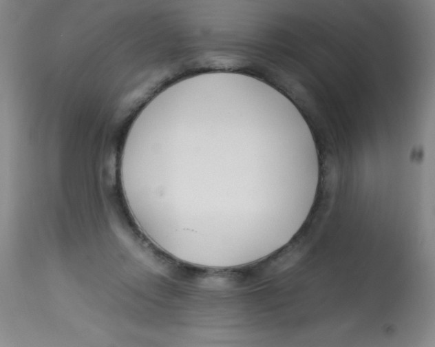 X0000113750358200910211151