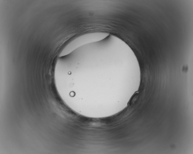 X0000113750360200910211151