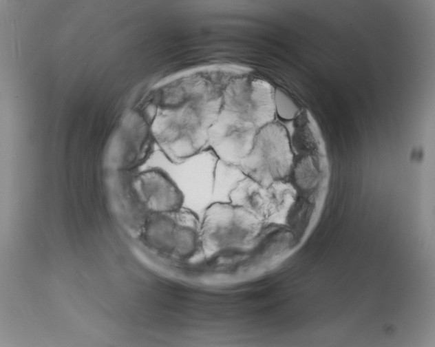 X0000113750361200910211151