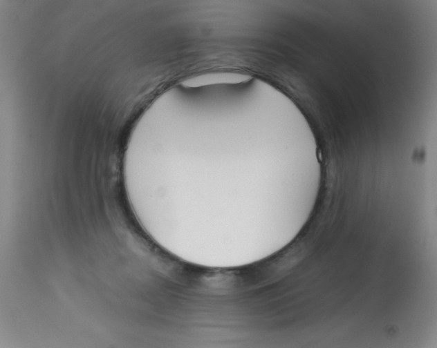 X0000113750362200910211151