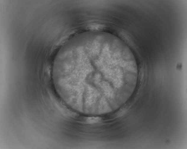 X0000113750363200910211151