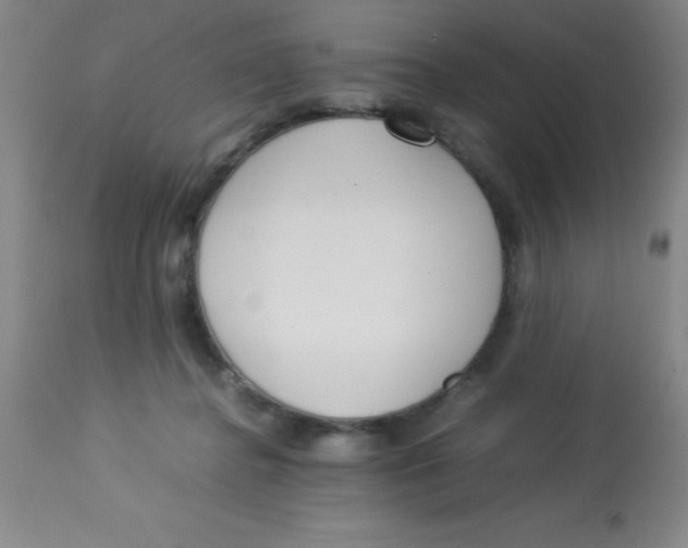 X0000113750364200910211151