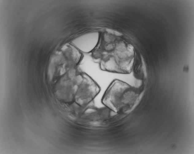 X0000113750365200910211151