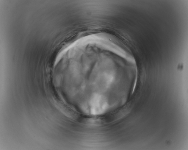 X0000113750366200910211151