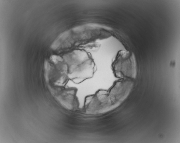 X0000113750369200910211151