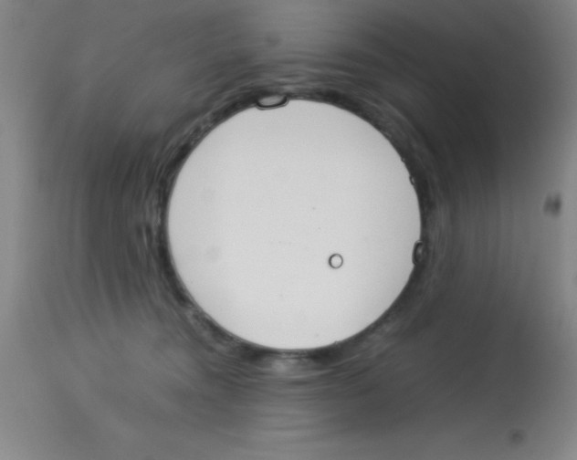 X0000113750372200910211151